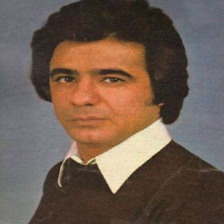 دانلود آهنگ این پرنده از غم غربت میمیره – آسمون آبیه هر جا که بری اما آسمون دل وا نمیشه – نبض من برای ایران میزنه – از عارف