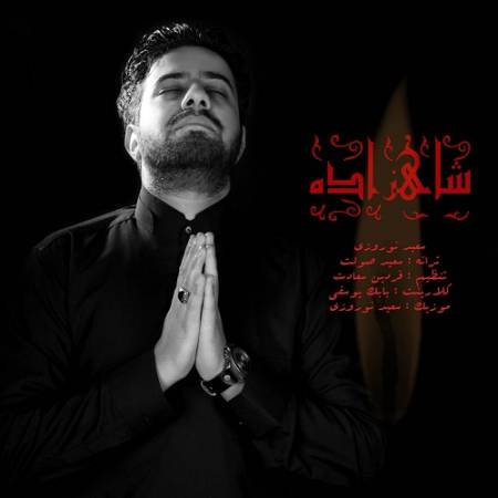 دانلود آهنگ خیلی خستم ، میشه دستمو بگیری خیلی خوبی تو که مثل آسمونی – شاهزاده – سعید نوروزی