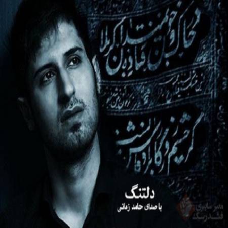 دانلود آهنگ سلام آقا بازم این دل بیقراره – دلتنگ – از حامد زمانی