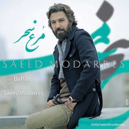 دانلود آهنگ مرغ سحر ناله سر کن داغ مرا تازه تر کن از سعید مدرس