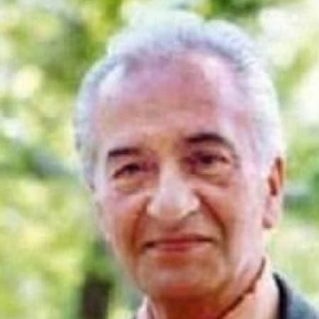 دانلود آهنگ ستاره مرد سپیده‌دم چو یک فرشته ماهم از حسن گل نراقی