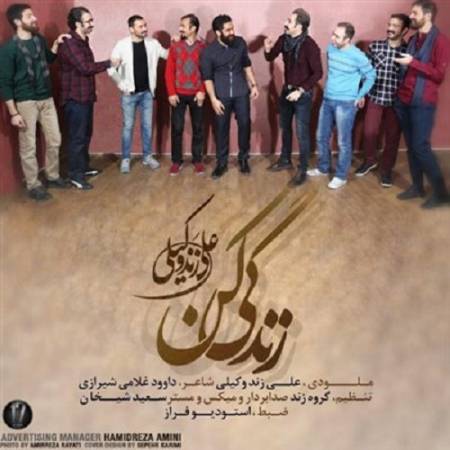 دانلود آهنگ رها کن دیگه غصه هاتو – زندگی کن – از علی زند وکیلی
