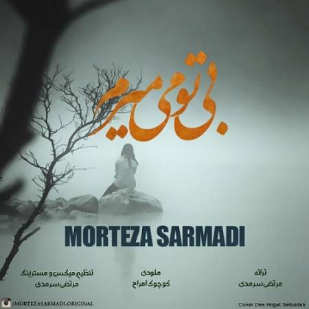 دانلود آهنگ تو گفتی بی تو من میمیرم خبر نداشتی زودتر از تو من مردم – بی تو میمیرم – از مرتضی سرمدی
