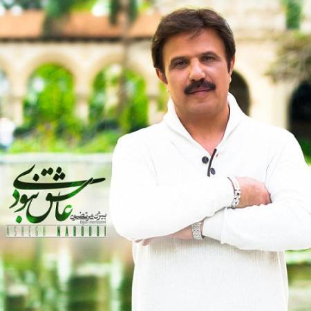 دانلود آهنگ این زندگی بی تو شبیه یه سراب – عاشق نبودی – از بیژن مرتضوی