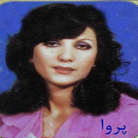 دانلود آهنگ ای که با غروب قلبم خورشید و همرات میاری – دل پذیر – از پروا