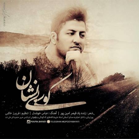 دانلود آهنگ ای غم ای همدم دست از سر دل بردار – کوی بی نشان – از پویا بیاتی