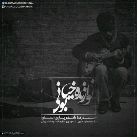 دانلود آهنگ یادت میاد یه روز داد میزدم – دنیا عوض شدش دچار غم شدی – نوازنده خیابونی – از احمد سلو