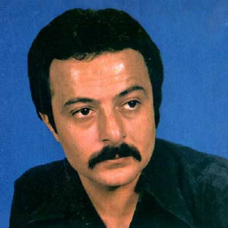 دانلود آهنگ غروب دهکده من بارون زده – کتاب خاطراتم پر از شعر زمستونه – باغ بارون زده – از شاهرخ