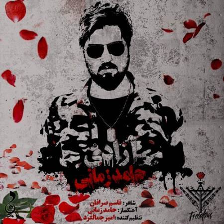 دانلود آهنگ جدید پاک می کنن اشکاتو تا باور کنی شادی . گاهی اسیرت می کنن با اسم آزادی - آزادی از حامد زمانی