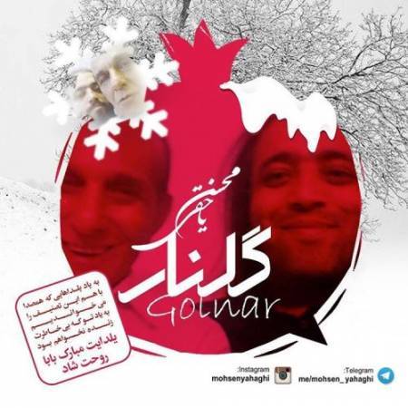 دانلود آهنگ جدید گلنار از محسن یاحقی