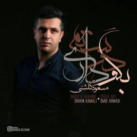 دانلود آهنگ جدید بگو دوستم داری از مسعود گلشنی