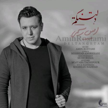 دانلود آهنگ جدید دلتنگتم از امین رستمی