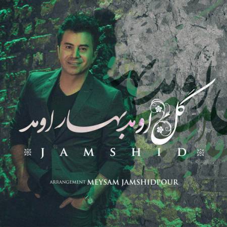 دانلود آهنگ جدید گل اومد بهار اومد از جمشید - منتخب