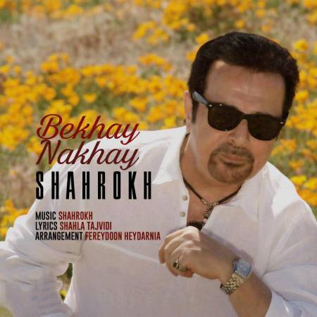 دانلود آهنگ جدید بخوای نخوای از شاهرخ