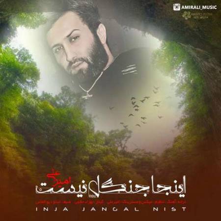 دانلود آهنگ اینجا جنگل نیست از امیرعلی