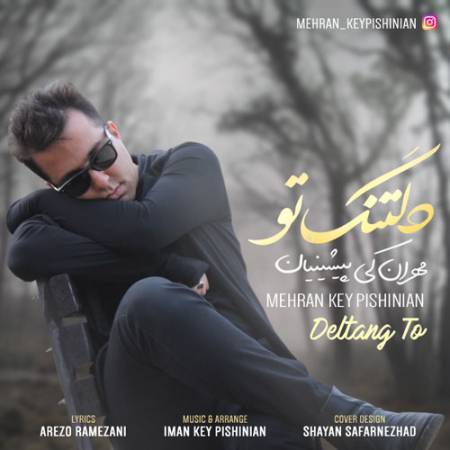 دانلود آهنگ دلتنگ تو از مهران کی پیشینیان