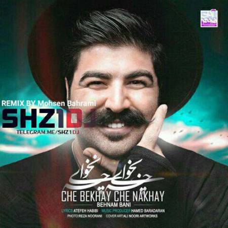 دانلود رمیکس آهنگ چه بخوای چه نخوای از بهنام بانی