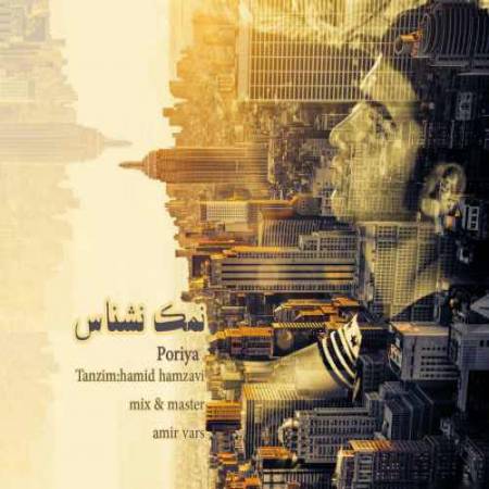 دانلود آهنگ نمک نشناس از پوریا رئیسی