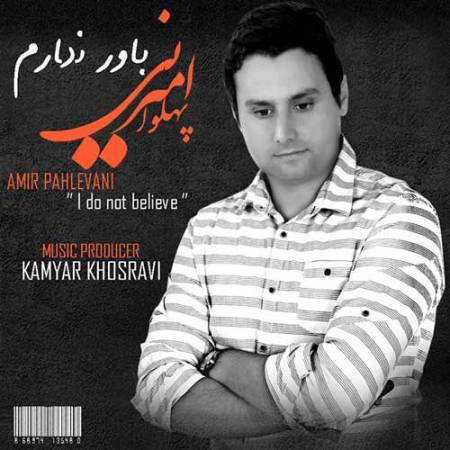 دانلود آهنگ باور ندارم از امیر پهلوانی