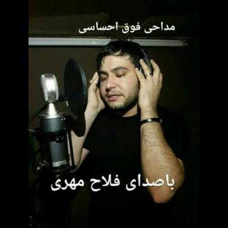 دانلود آهنگ نخل شکیا از فلاح مهری